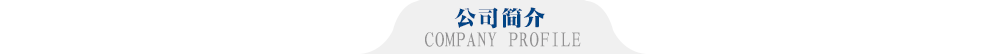 公司簡介